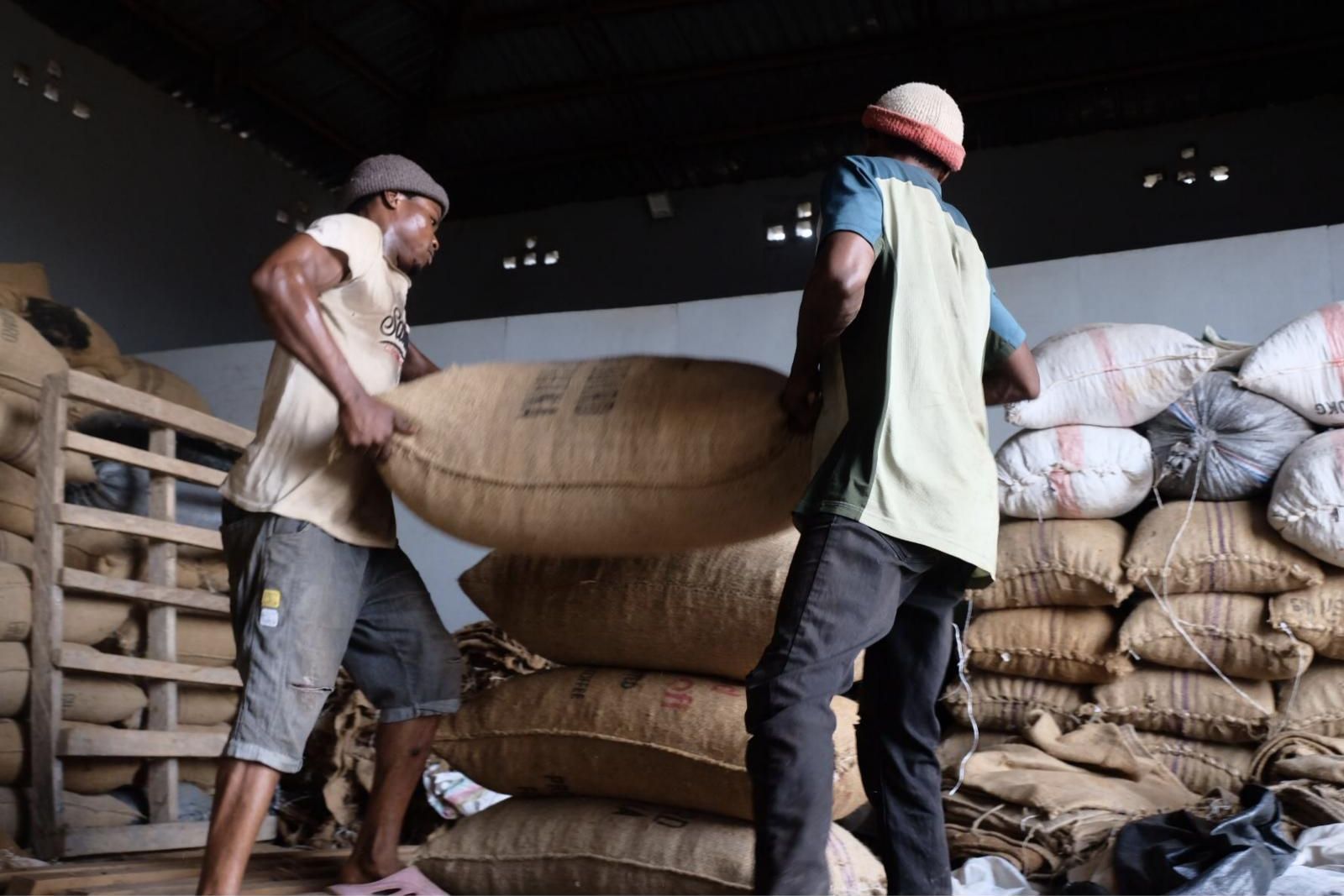 Chargement de sacs de fèves de cacao dans un entrepôt